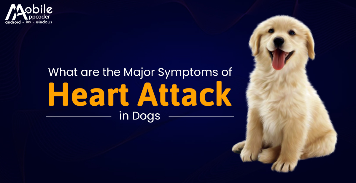 Heart Attack in Dogs